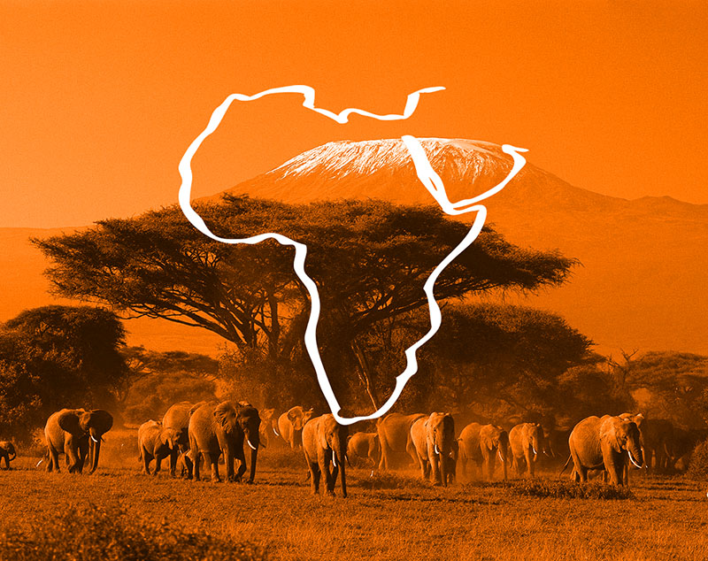 Африка и Арабия