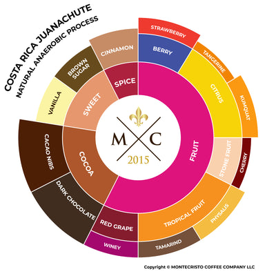 КОСТА РИКА Хуаначуте | Луис Анастасио Кастро